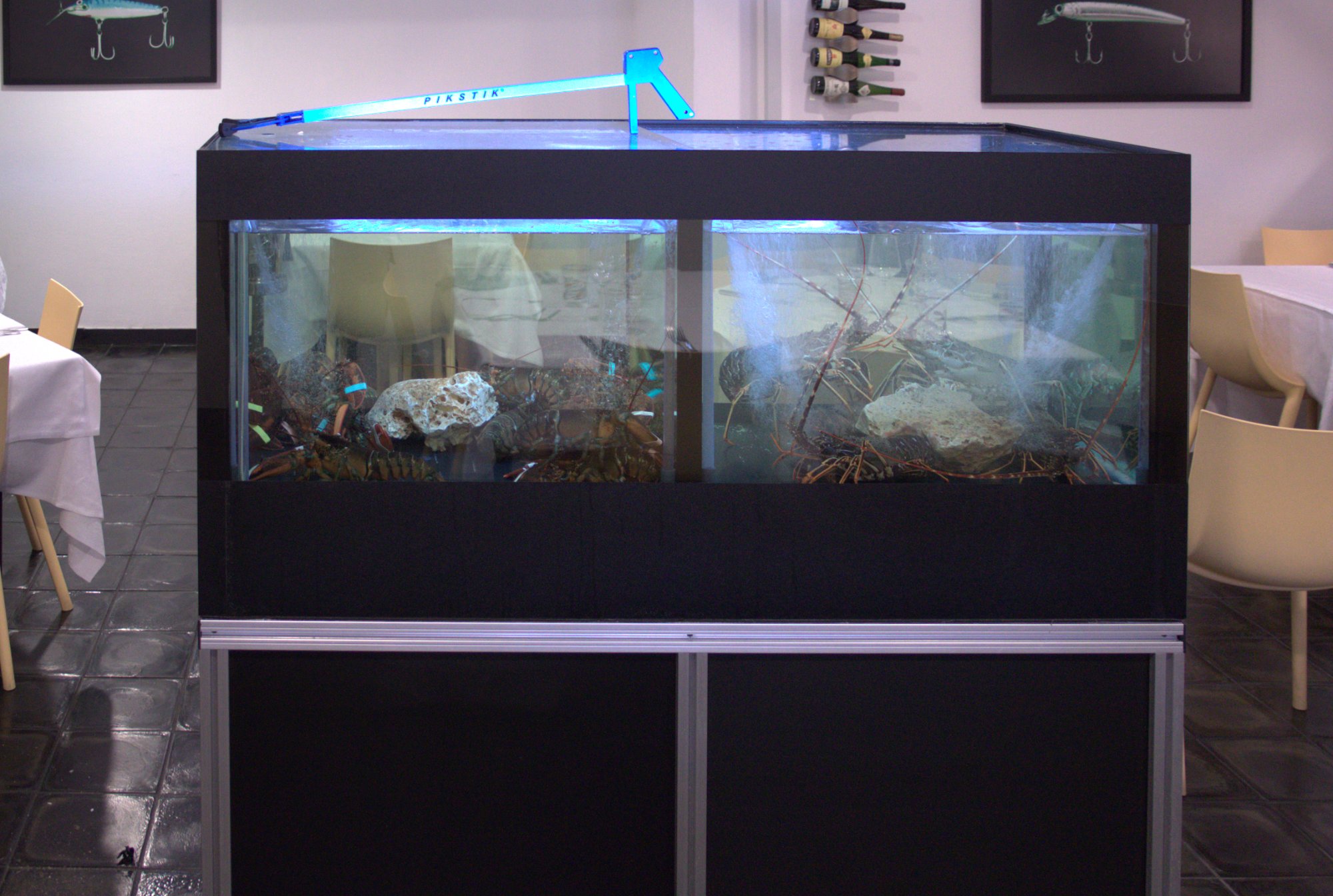 Acquario